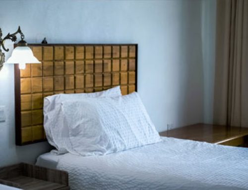 Vestibulum et dolor congue